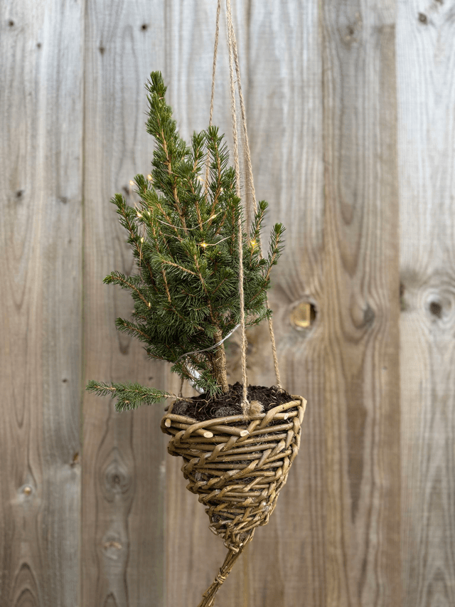 Wool lined Hanging baskets