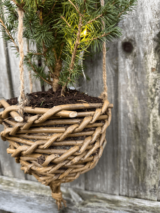 Wool lined Hanging baskets